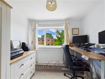 Picture 20